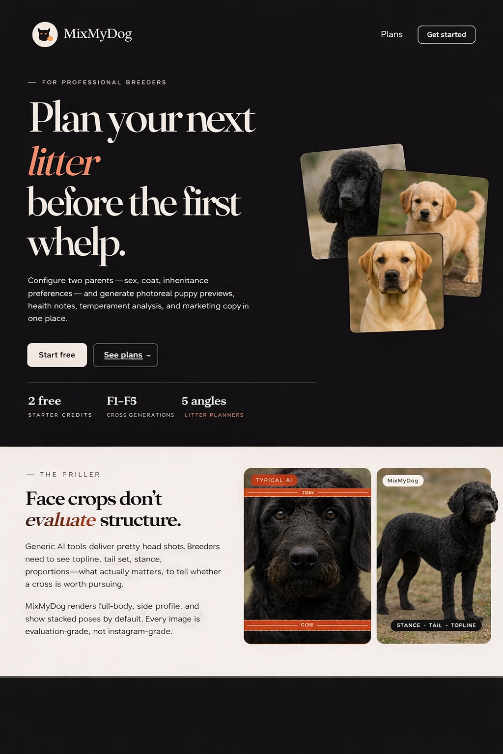 MixMyDog dog breed mixer preview